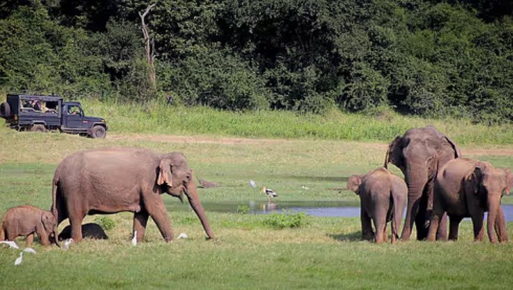 Sri Venkateswara Wildlife Sanctuary, Chittoor, Andhra Pradesh - Vushii.com Sri Venkateswara Wildlife Sanctuary, Chittoor, Andhra Pradesh - Vushii.com